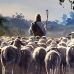  о. Марэк Ящковски: «Все мы участвуем в пастырской миссии Иисуса Христа»