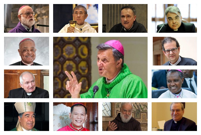 13 новых кардиналов: кто они?