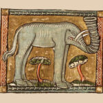 Библейский зоопарк: слон