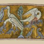 Библейский зоопарк: пеликан