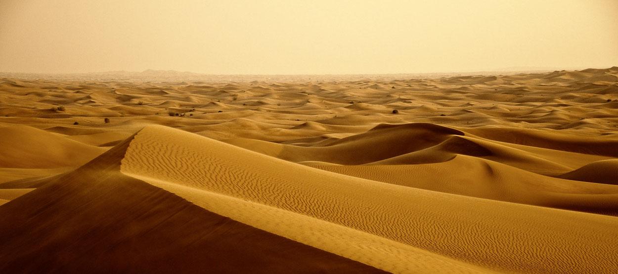 Выйти в пустыню… Проповедь на II воскресенье Адвента