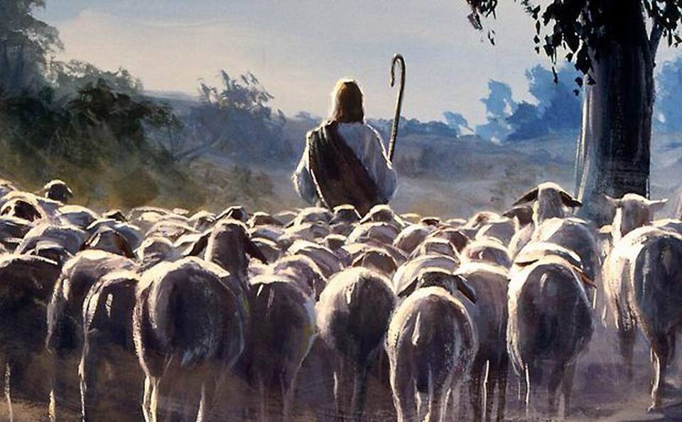 о. Марэк Ящковски: “Все мы участвуем в пастырской миссии Иисуса Христа”