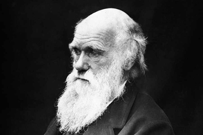 Совместимы ли теория Дарвина и Библия?