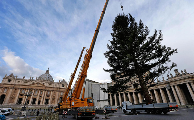 Кто в этом году украсит площадь св. Петра к Рождеству?