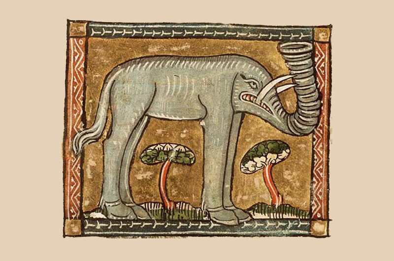 Библейский зоопарк: слон