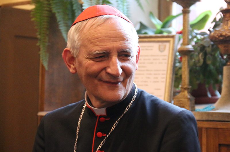 В поисках путей к миру: как прошел визит кардинала Дзуппи в Москву